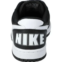 Big Nike Low