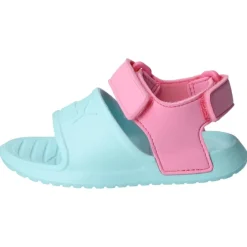 Divecat v2 Injex Inf