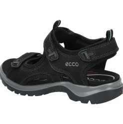 Ecco Offroad