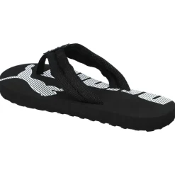 Epic Flip v2 Power Ps