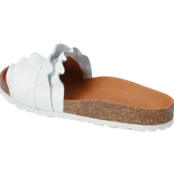 Rocio Nucleo Volante